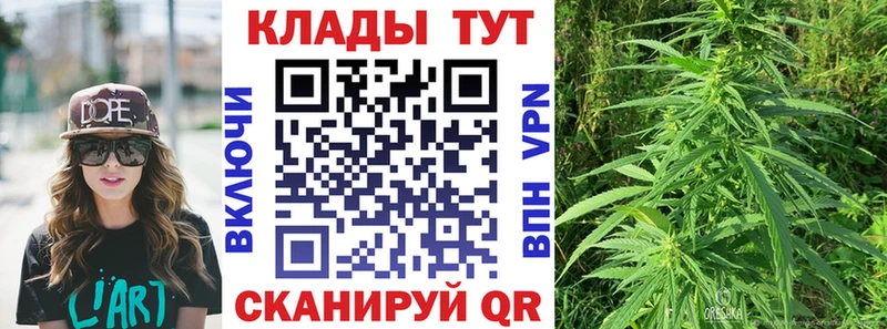 Где купить наркоту Тырныауз LSD-25  Alpha-PVP  Меф  Бошки Шишки 