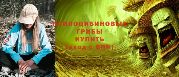 ECSTASY Абаза